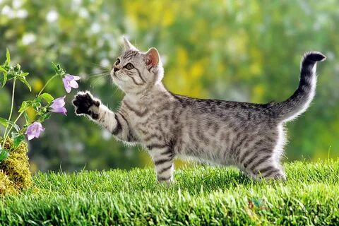 Yoshlar bilan etuk ayolning fotosurati