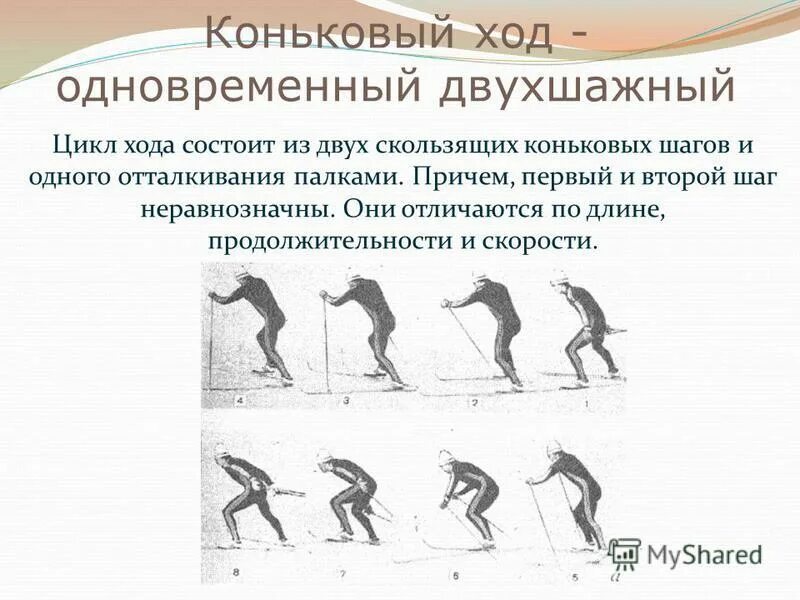 Двухшажный ход состоит из. Двухшажный ход состоит из. Двухшажный ход состоит из. Из скольких фаз состоит попеременный двухшажный ход. Двухшажный ход состоит из.