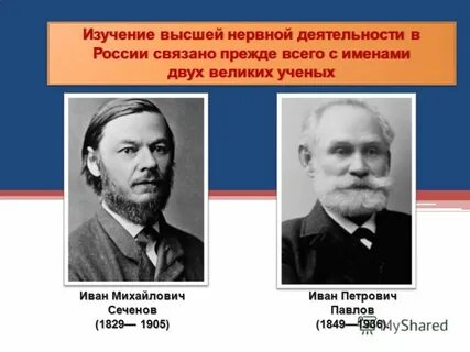Ученые нервной деятельности