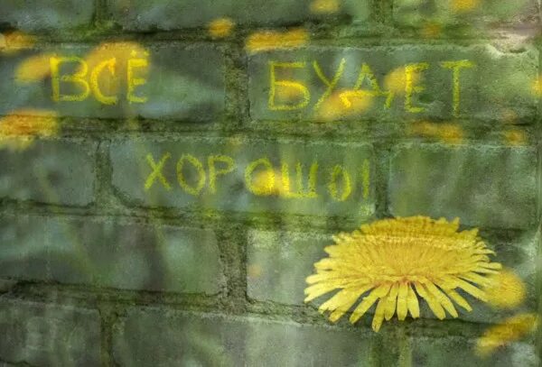 граффити на заборах надписи. висит на заборе надпись. надпись мат +забор. если на заборе написано. смешные надписи на заборах.