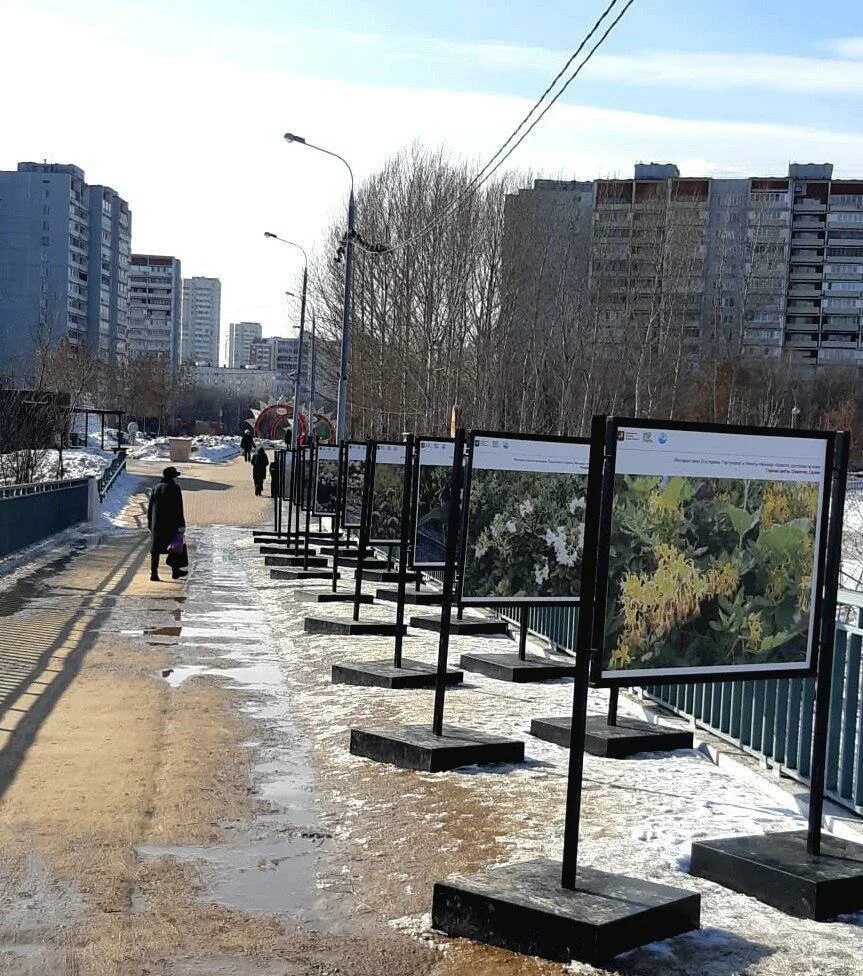 Сайты северное медведково. Сквер на Олонецком проезде. Медведково Олонецкий парк. Парк по Олонецкому проезду. Сквер по Олонецкому проезду.