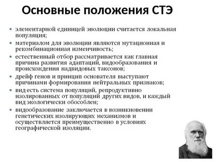 Синтетическая теория эволюции основные положения