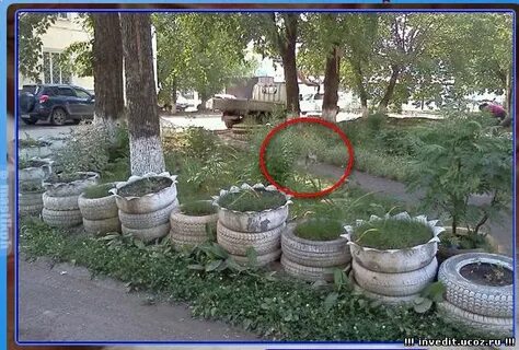 Играть игры найти кота