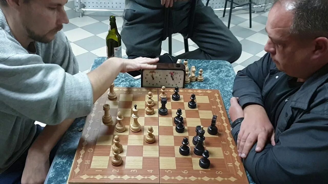 Шахматы с живыми соперниками. Лебедь играет в шахматы.