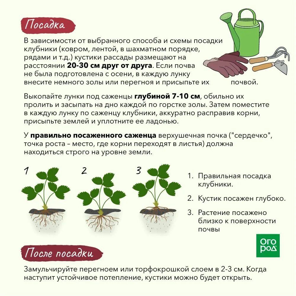 Благоприятные дни для посадки земляники. Лунный календарь дачника. Клубничный календарь. Календарь огородника. Дни для посадки клубники в июле.