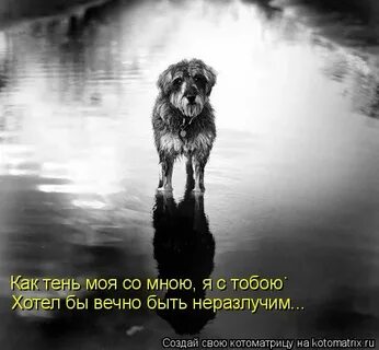 Бы быть вечным если бы
