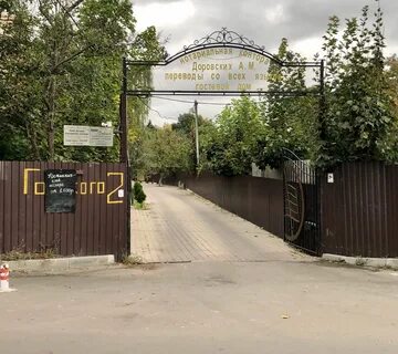 Химки сходня горького 7
