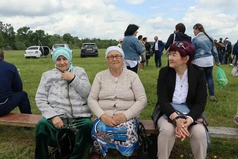 Погода большая линия
