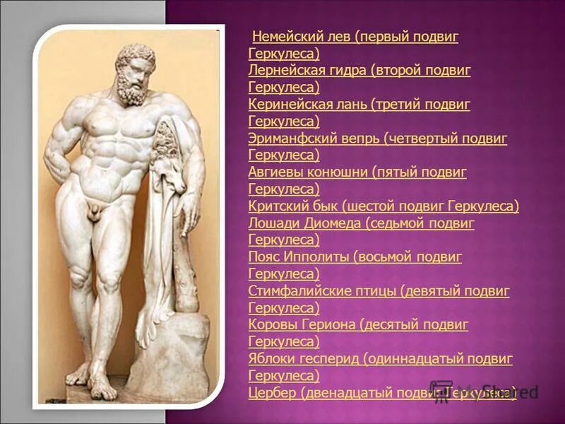 Знаменитый атлет повторивший подвиг. Легендарные рассказы о знаменитых атлетах доклад. Знаменитый атлет повторивший подвиг. Немейский лев презентация. Геракл фарнезский скульптура.