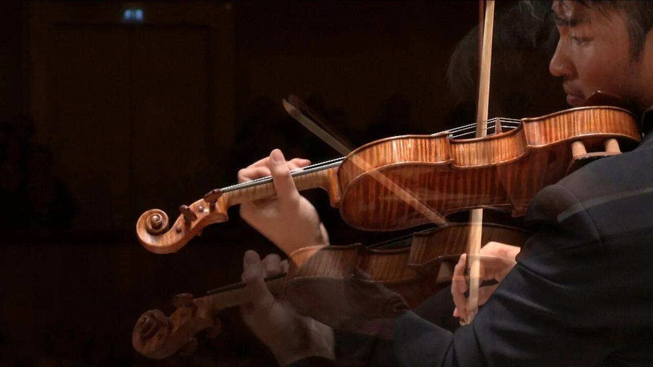 Violin solo: ray Chen. Сибелиус скрипка