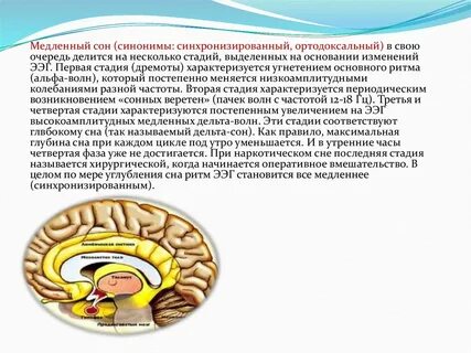 Сон характеризуется