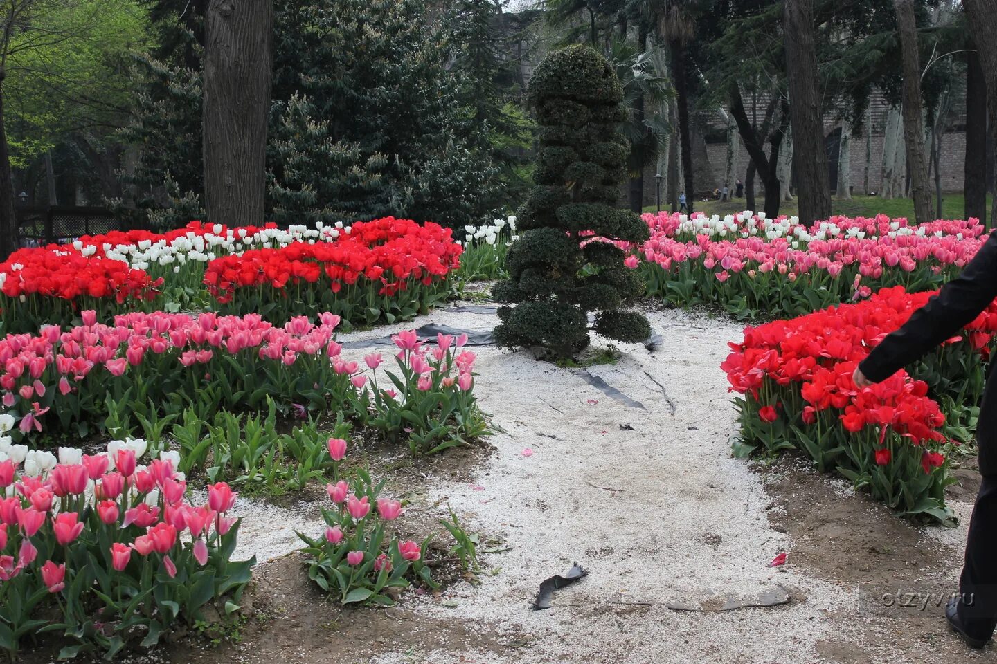 Парк тюльпанов в стамбуле. Парк Гюльхане тюльпаны. Сад Гюльхане в Стамбуле. Парк Эмирган в Стамбуле тюльпаны. Парк Гюльхане парк фестиваль тюльпанов.