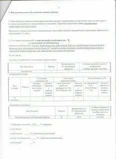 Натурное техническое обследование лесного участка