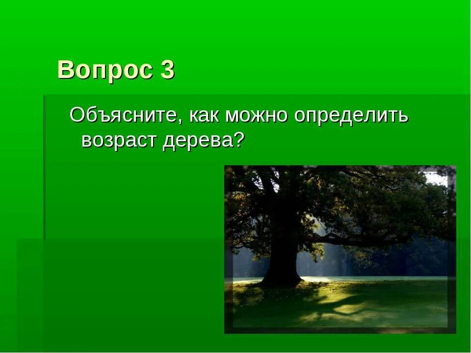 Зеленый мир слова. Путешествие в царство растений.