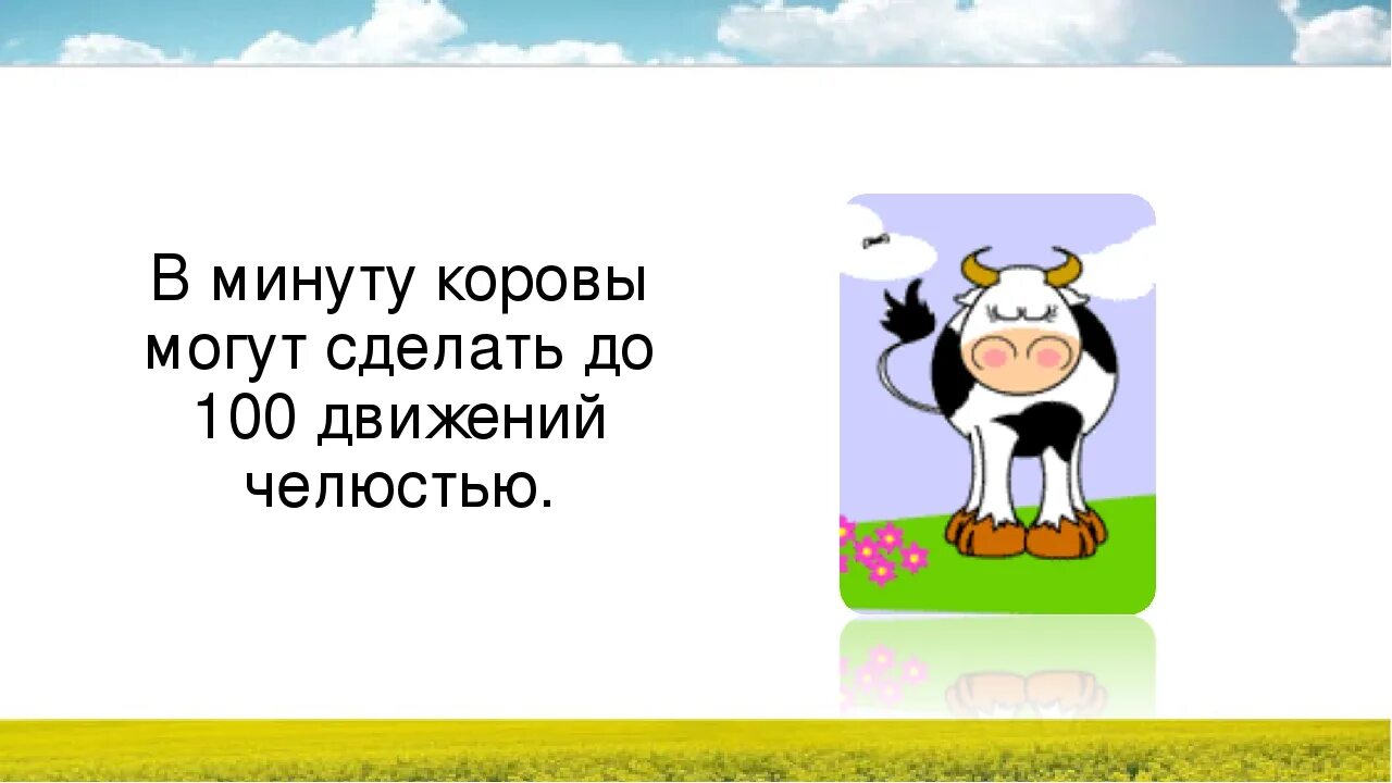 Сообщение животноводство корова 3 класс. Факты о коровах. интересные коровы. интересные факты о коровах для детей. интересные факты о коровах 3 класс.