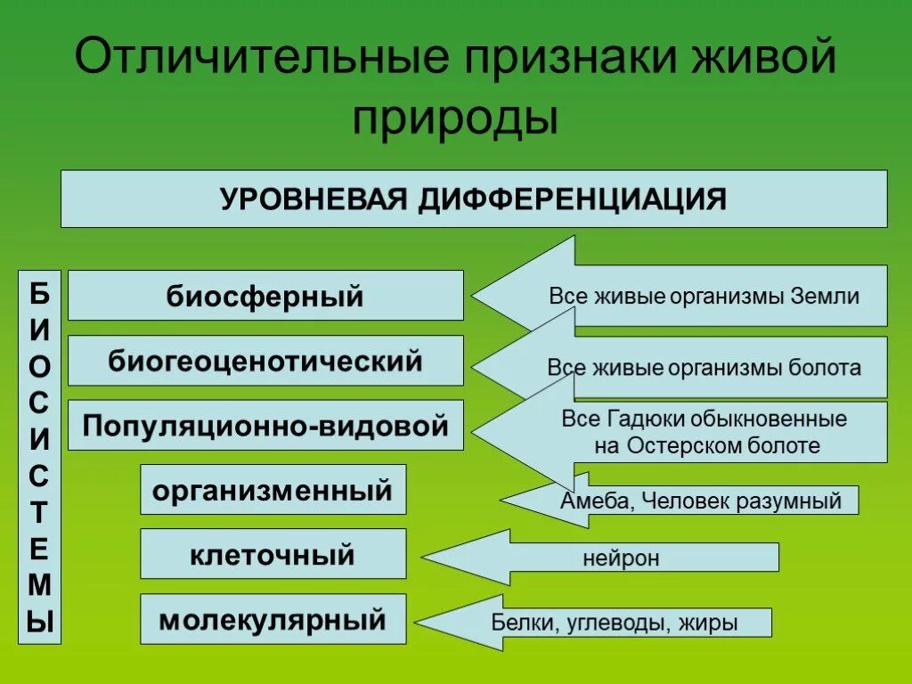 Назовите основные отличительные. Отличительные признаки живой природы. Признаки живой природы биология. Уровневая организация жизни биология. Характерные особенности живых организмов.