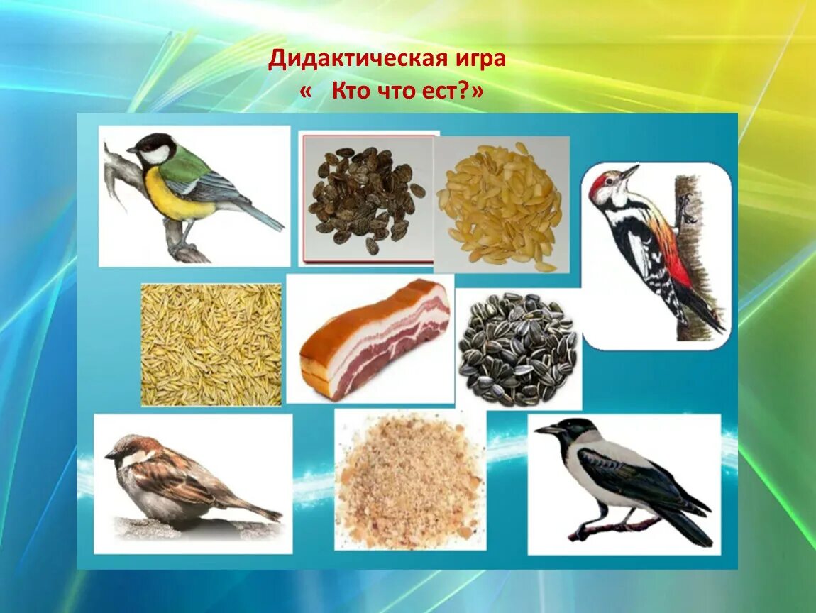 Каких птиц употребляют в пищу. Корм для зимующих птиц. корм для птиц зимой в кормушках. карточки корм для зимующих птиц для детей. еда зимующих птиц.