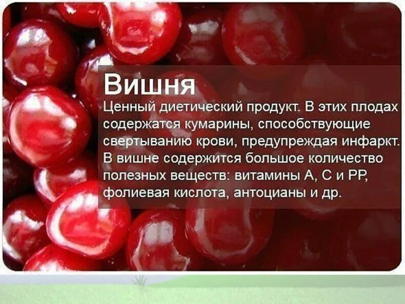 Можно ли вишню при сахарном диабете