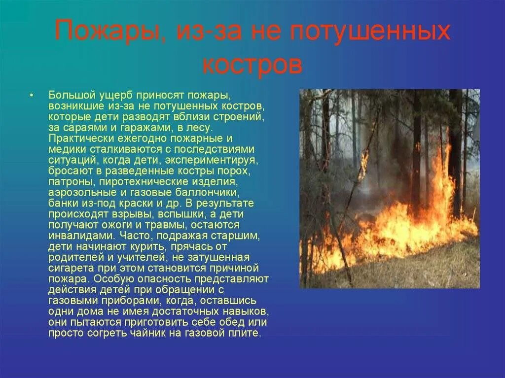 Почему часто пожары. Доклад на тему пожар в лесу. Сообщение о лесных пожарах. Лесные пожары презентация. Презентация на тему пожар.