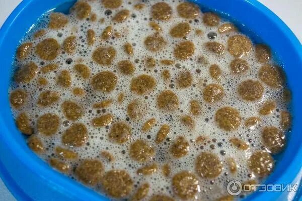Сухой корм размочить в воде. Размоченный корм. размоченный сухой корм. размоченный собачий корм. размоченный корм для щенков.