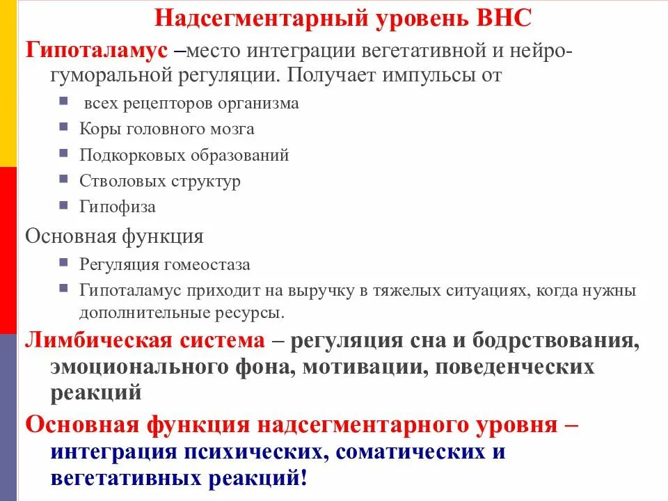 Надсегментарный уровень ВНС. Надсегментарный уровень вегетативной нервной системы. Уровни регуляции вегетативной нервной системы. Уровни регуляции вегетативных функций. Функции высшей нервной системы