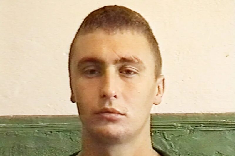 Бражников волжский. Бражников волжский