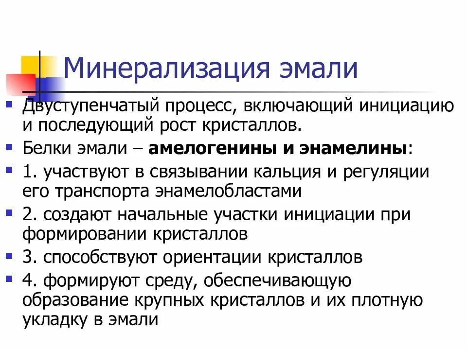 Минерализация. Минерализация эмали. Фазы минерализации эмали. Процесс минерализации эмали. Этапы минерализации эмали.