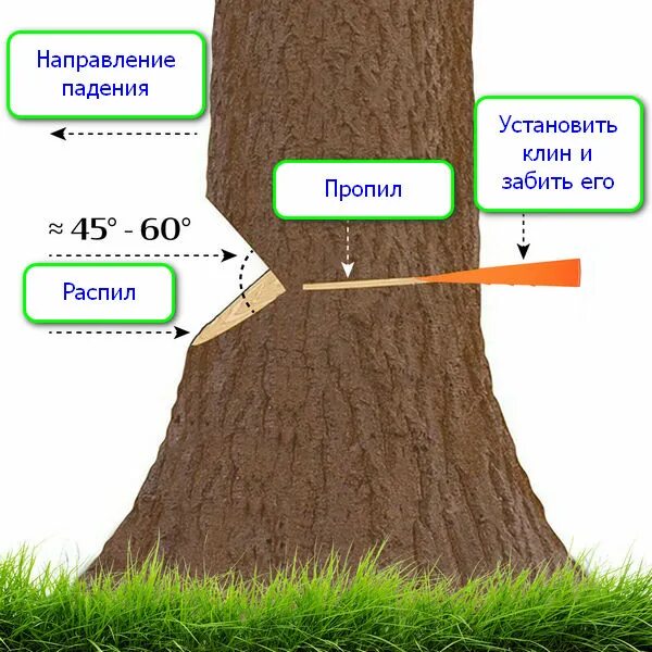 Направить в нужном направлении