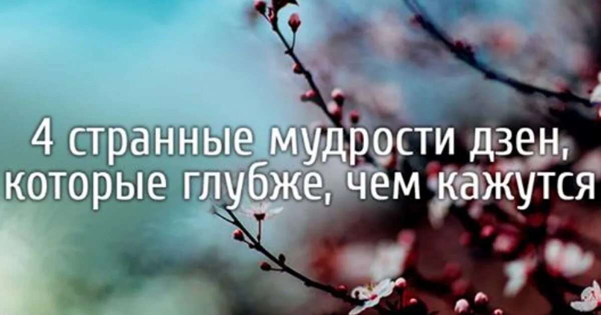 мысли написан дзен. принцип дзен. дзен цитаты. дзен-буддизм это в философии. волноваться бессмысленно.