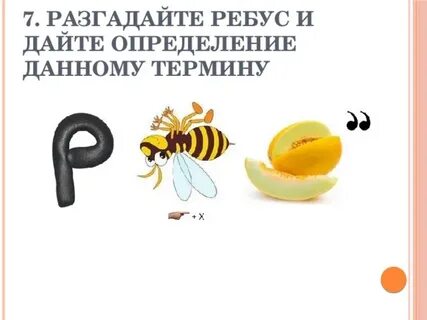 Отгадай ребус и дай определение понятию