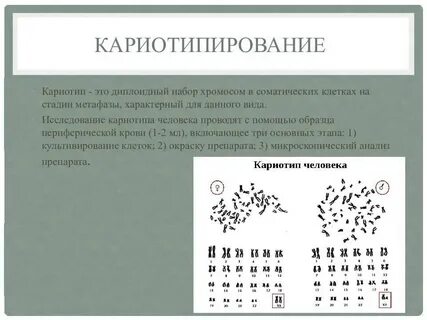 Кариотип цитогенетическим методом