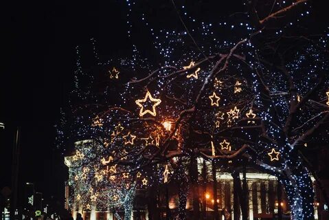 Новогодние праздники в петрозаводске
