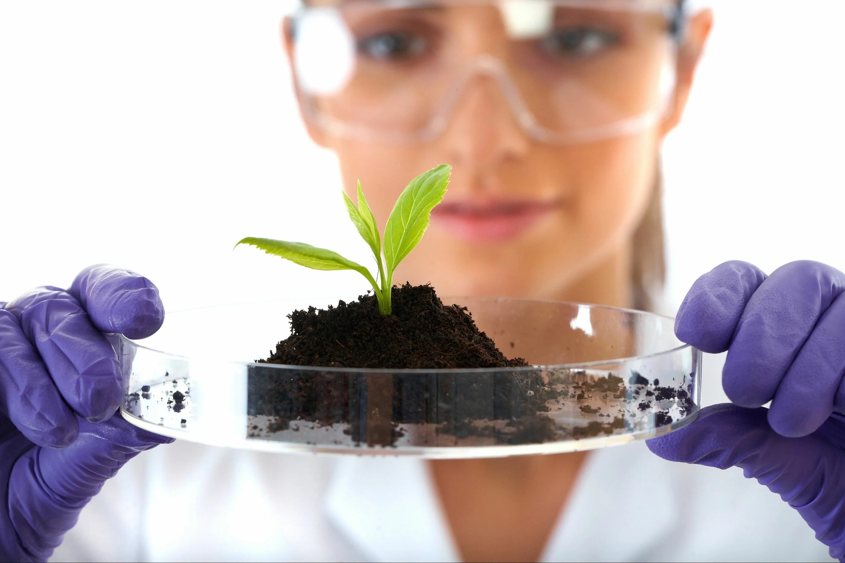 Лабораторные исследования почвы. Защита растений. Биологическая защита растений. Почвенная биотехнология. Plant protection