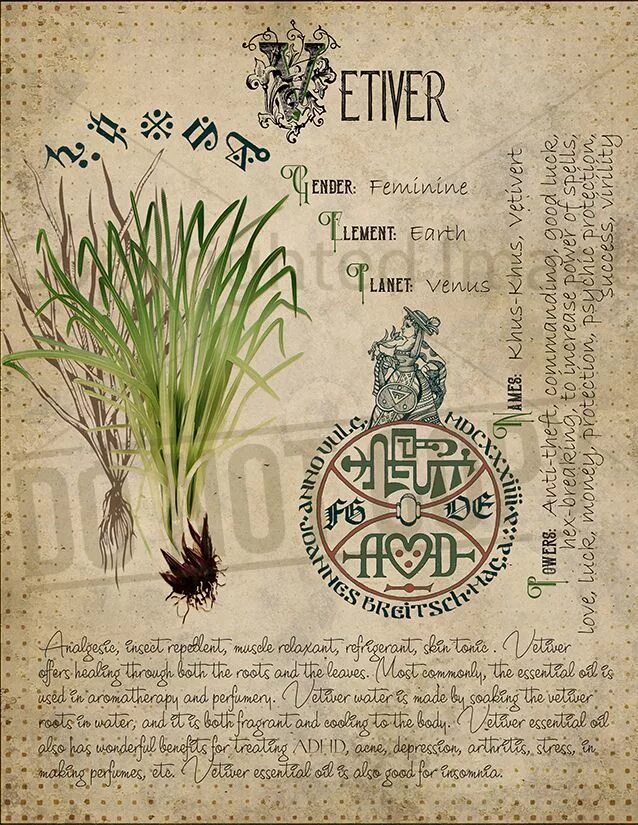 Растения для травника для начинающих ведьм. Травы для травника ведьм. Что можно записать в травник ведьмочки. Гримуар страницы из книги травы. Странички для травника.