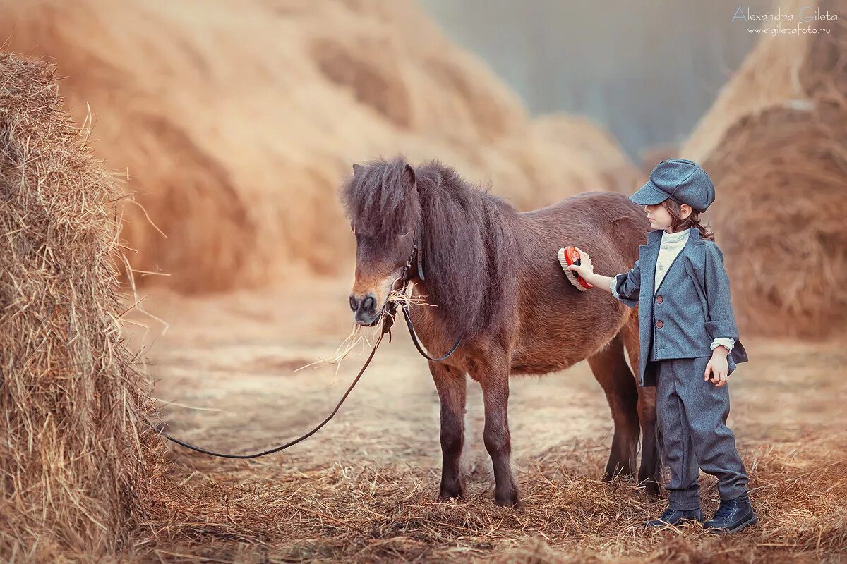 конюх. люди на конюшне. конюшня. лошади на ферме. конюх.