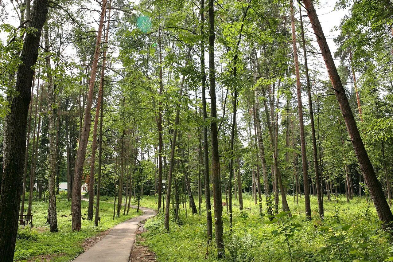 дорохово санаторий как добраться. пансионат акварели схема территории. санаторий дорохово на карте. тучково, ул. дорохово санаторий как добраться.