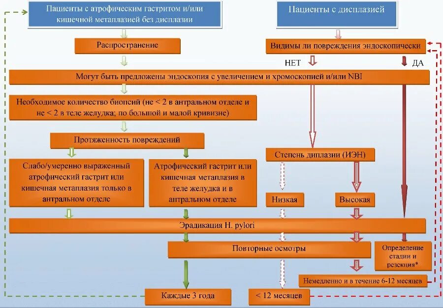 Атрофический гастрит какое лекарство. Хронический гастрит с кишечной метаплазией. Очаговая кишечная метаплазия что это такое. Терапия кишечной метаплазии. Схема лечения атрофического гастрита.