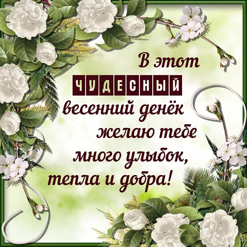 Весенние пожелания. Красивые весенние пожелания. Пожелания на день весенние. Открытки весенние с пожеланиями. Пожелания доброго весеннего денечка