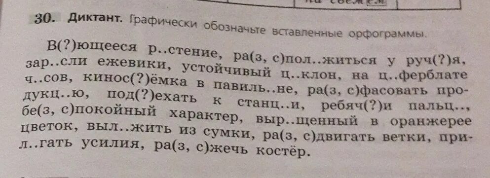 Мама любит полевые цветы диктант 4. Диктант. Ужасные диктанты. Диктант оранжерея. Диктант Заречный луг.