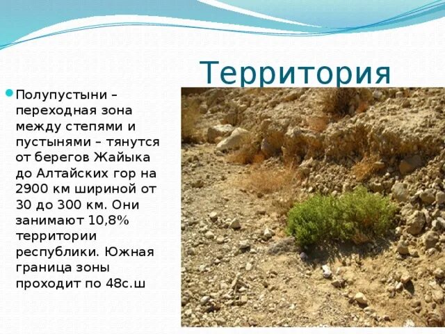 Какая почва в зоне пустынь. Между степями и пустынями полупустыни. полупустыни это переходная зона. укажите переходную зону между зоной степей и зоной пустынь. как называется переходная зона между степью и пустыней.