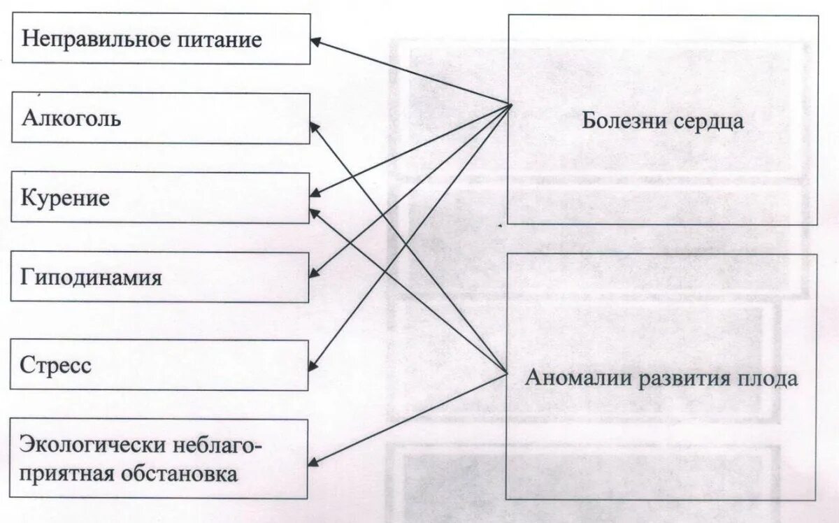 Установите соответствие между личностью и его деятельностью