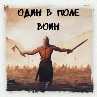 Один в поле воин remix
