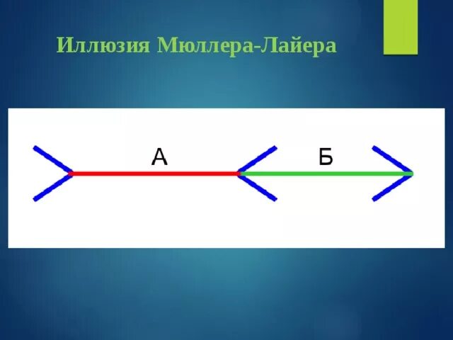 Какая линия имеет наибольшую. Иллюзия Франца Мюллера-Лайера. Иллюзия Мюллера Лайера стрелки. Иллюзия стрелок Мюллера-Лиера. Эффект Мюллера-Лайера.