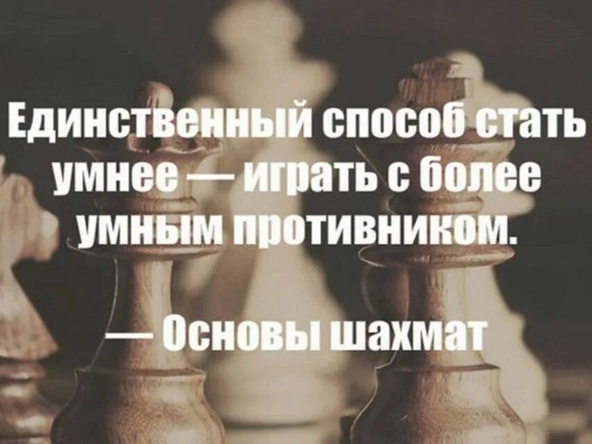 Более сильнейший противник. Высказывания о шахматах. Цитаты про шахматы. Шахматные цитаты. Шахматы цитаты великих.