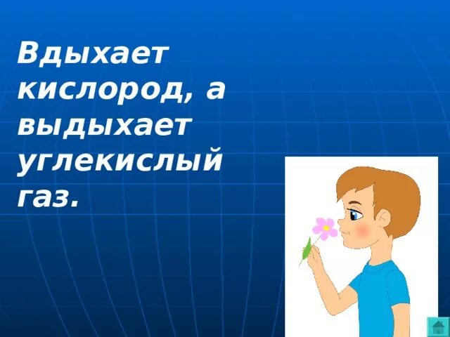 Вдыхаем кислород а выдыхаем углекислый ГАЗ. Мы выдыхаем углекислый ГАЗ. Что выдыхает человек. Что человек выдыхает кислород углекислый.