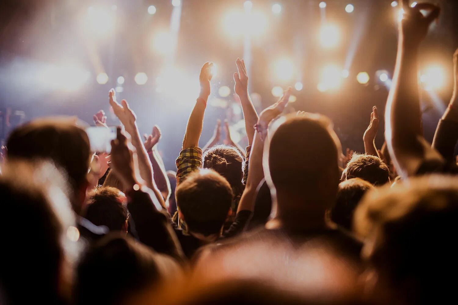 Go on a concert