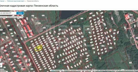 Снт карта пензы