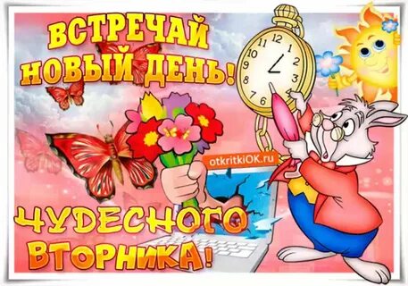 Стикер доброго вторника