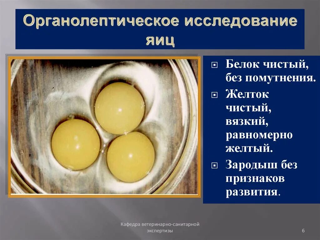 Исследование яиц. Показатели качества яиц. Органолептические показатели яиц. Экспертиза куриных яиц.