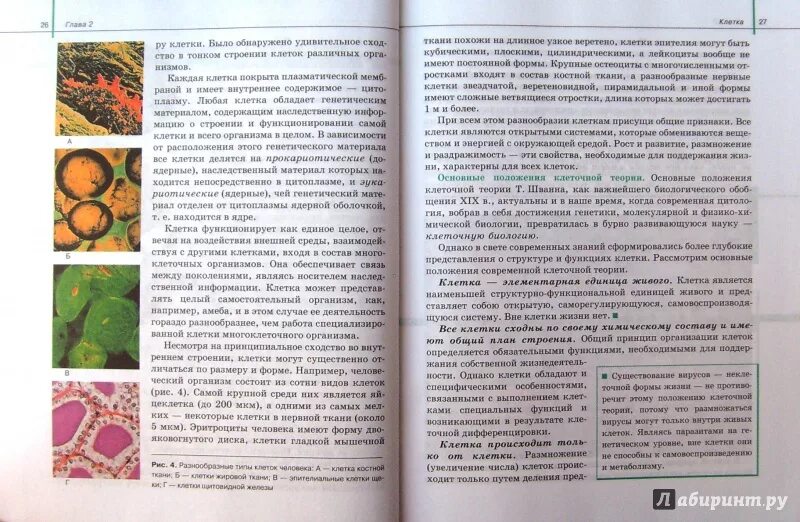 Учебник по биологии 8 класс сивоглазов читать. Биология. 11 Класс общая биология Сивоглазов,Агафонова,Захарова. Общая биология 10-11 класс Сивоглазов Агафонова Захарова. Агафонова Сивоглазов биология животных 10-11 классы. Сивоглазов биология 10 класс общая биология.